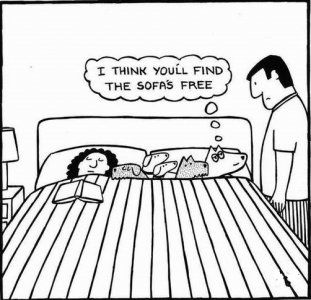 sofa.jpg