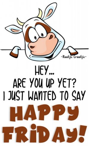 hapfri.jpg