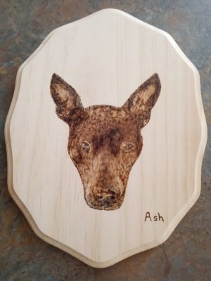 Woodburning of Ash.jpg