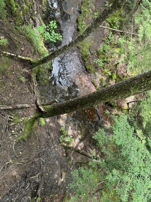 IMG_0671.jpeg