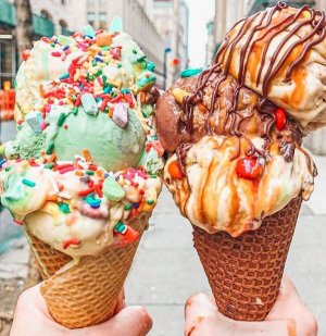 IMG_0684.jpeg IMG_0684.jpeg