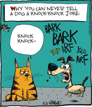 dog.jpg