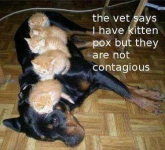 IMG_3820.jpeg