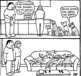 sofa.jpg
