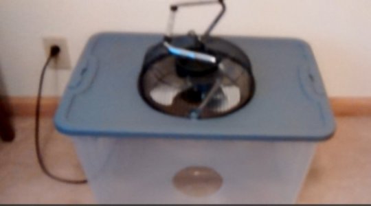 1690045016519.jpeg 1690045016519.jpeg