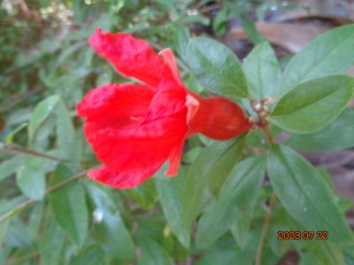 DSC03003.JPG