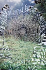 IMG_0729.jpeg