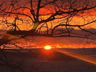 IMG_9648.jpeg IMG_9648.jpeg