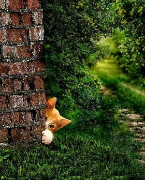 tumblr_8502f43e2b18fee03c7b9e2525e8eae0_2161e1c3_500.jpg tumblr_8502f43e2b18fee03c7b9e2525e8eae0_2161e1c3_500.jpg