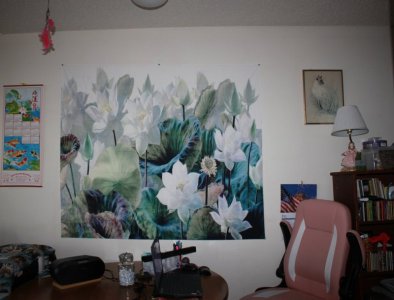 kats_office.JPG