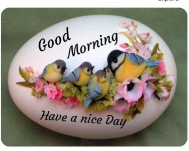 Good morning birds 4..jpg