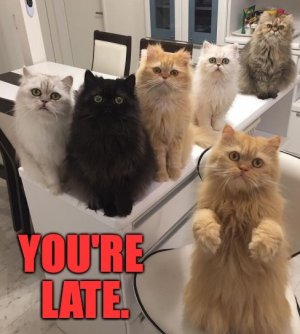youarelate.jpg
