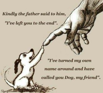 dog.jpg