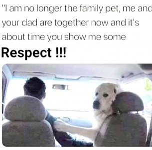 87421722.jpg