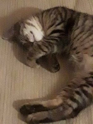 20220929_204730.jpg