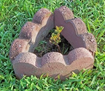 apple new bricks.jpg