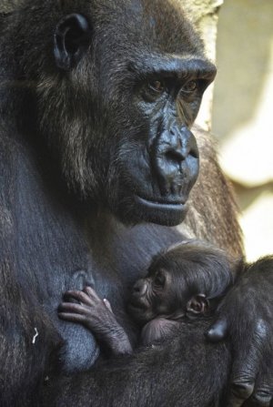 motherslove072423,jpg.jpg