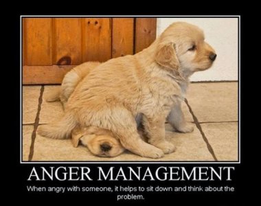 Anger Management Puppy.jpg