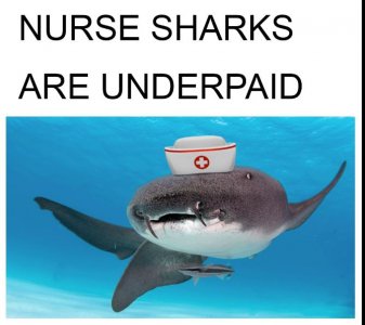 K.JPG