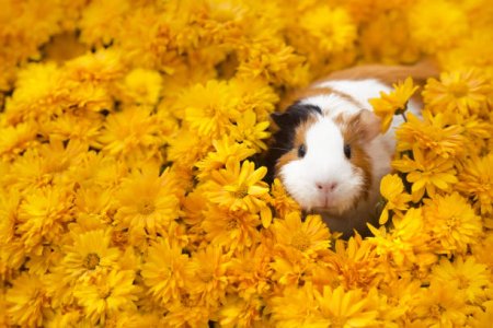 istockphoto-868842044-612x612.jpg