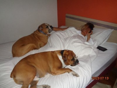 DSC02798 (2).JPG DSC02798 (2).JPG