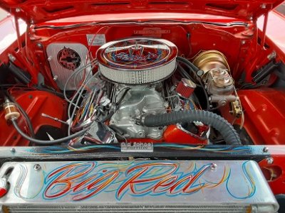 looking good.jpg looking good.jpg