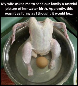 waterbirth.jpg