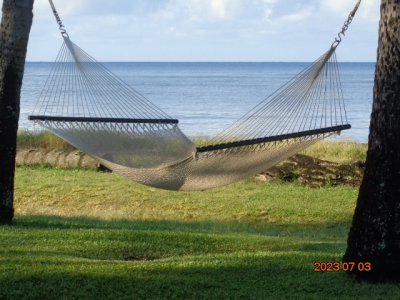 DSC01706.JPG DSC01706.JPG