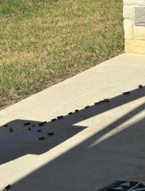 362920713_6781208055263383_3499245314405073723_n.jpg 362920713_6781208055263383_3499245314405073723_n.jpg