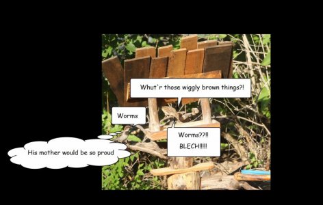 worms.jpg