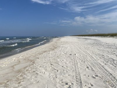 IMG_3909.jpeg