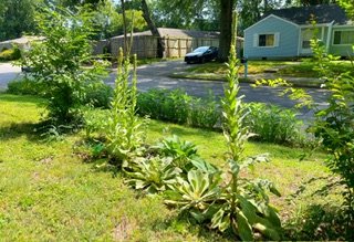 IMG_5314.jpeg