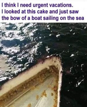 361103431_824576779334381_1071985423252798342_n.jpg