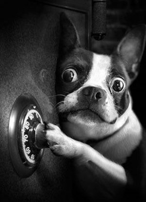 Safecracker @.jpg