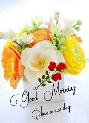 Good-Morning-In-Images-Shapes-And-Colors-Of-Flowers-In-Wallpapers.jpg