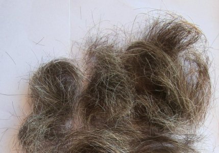 David-hair-72623.jpg