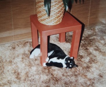20180808_181445.jpeg