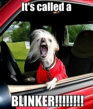 blinker.jpg