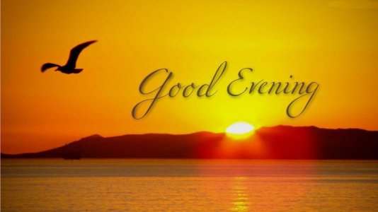 good-evening-oqntbrvgc2di75br.jpg