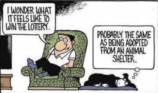 shelter pup.jpg