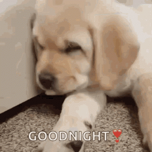 C86B2F9C-D5C0-496C-8A1F-3427720E4C0B.gif