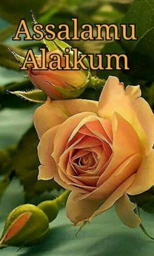 fb9fb46bfe7cd618ca06c47be4f4df40.jpg