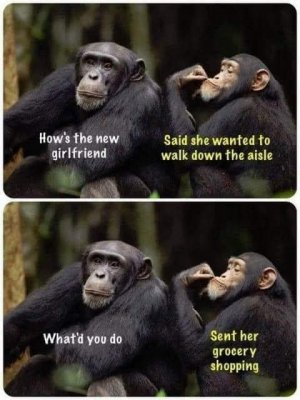 wda.jpg