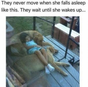 IMG_3902.jpeg