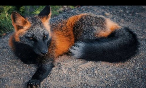 IMG_628623A3287D-1.jpeg IMG_628623A3287D-1.jpeg