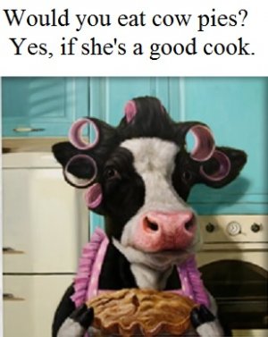 cow pie.jpg