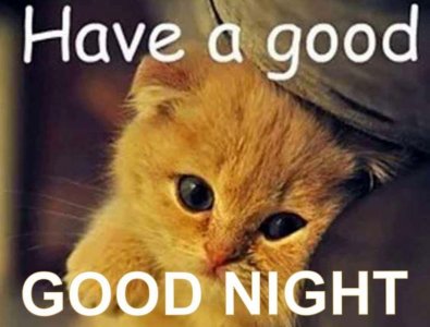 good-night-meme_1.jpg