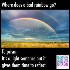 IMG_2037.jpeg