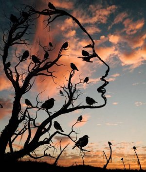 Abdullah-Evindar-Turkish-artist-Surreal-silhouette-photo-collages.jpg