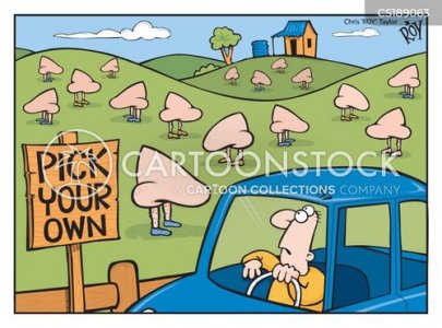 IMG_3949.jpeg IMG_3949.jpeg